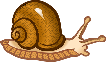 Lumache logo